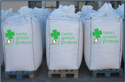 BigBags